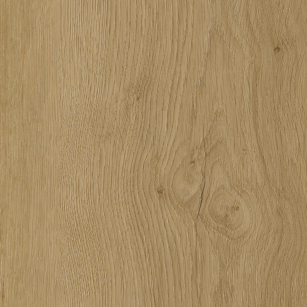 Platinum Plus — French Oak swatch