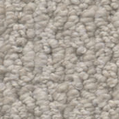 Brunswick — Organic swatch