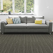 Dublin / Dublin II area rug