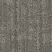 Oxford / Oxford II — Spiced Roots swatch