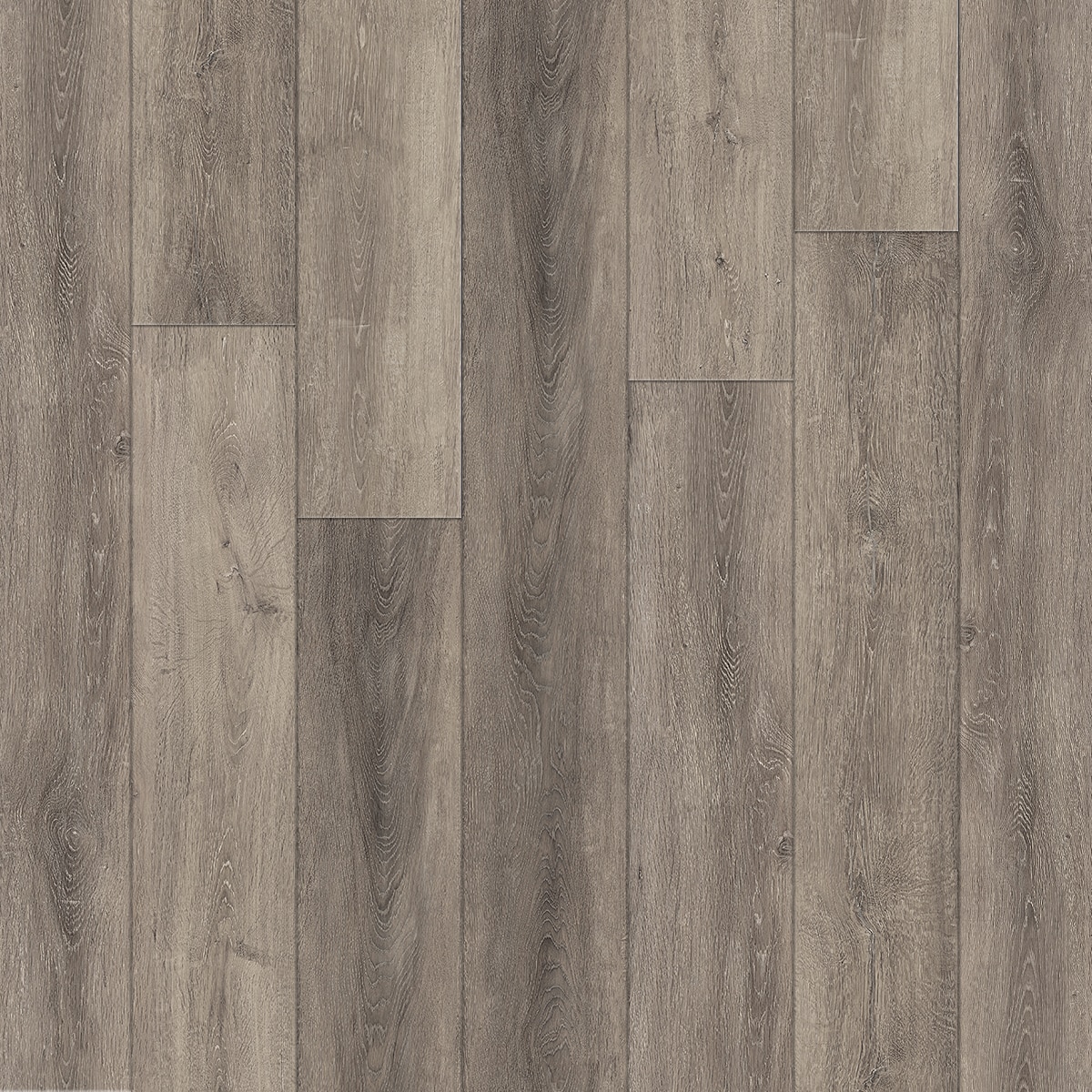 Brilliance Yellowstone